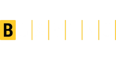 partners who work with cricket