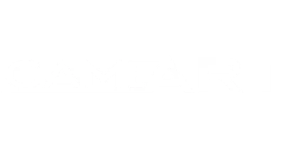 partners who work with cricket