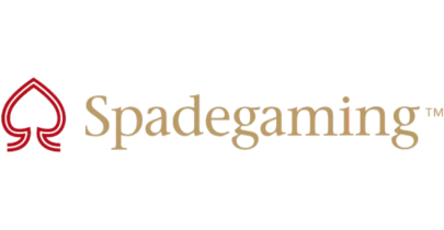 partners who work with cricket