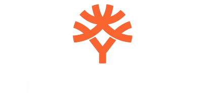 partners who work with cricket